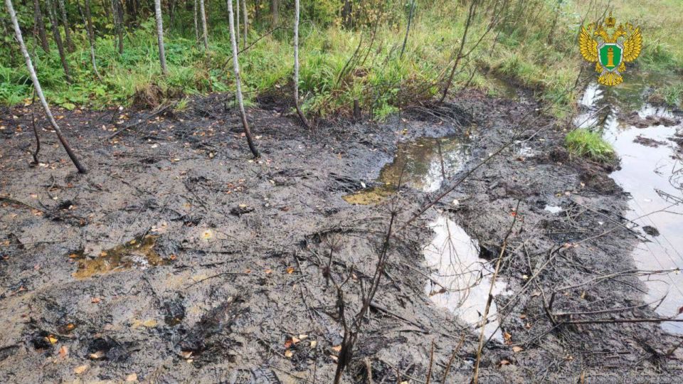 По инициативе природоохранного прокурора возбуждено уголовное дело по факту загрязнения почвы