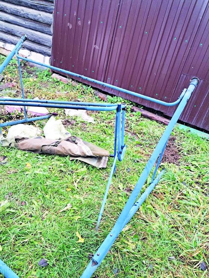 Медведь разгромил участок жительницы деревни Шабуры в Пермском крае Медведь разгромил участок жительницы деревни Шабуры в Пермском крае