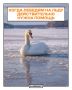 Когда лебедям на льду действительно нужна помощь — поясняют орнитологи