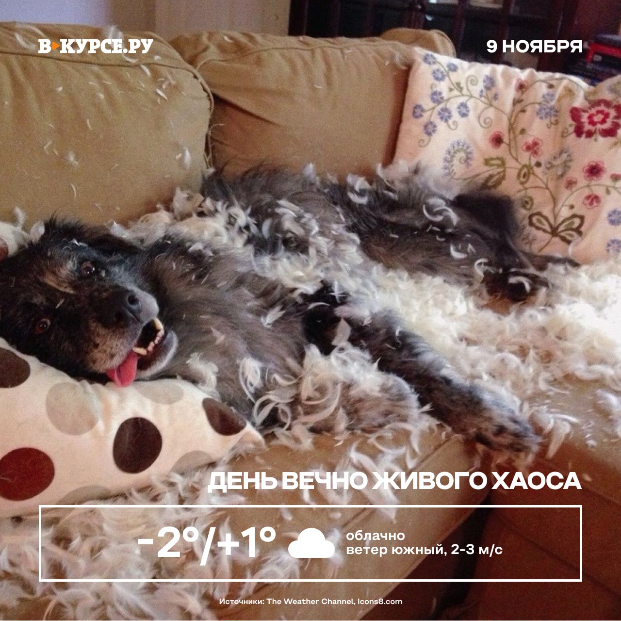 Доброе утро! Сегодня облачно