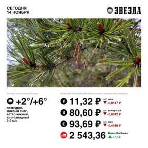 Доброе утро, Пермь!. Сегодня будет пасмурно, пройдут осадки в виде дождя со снегом