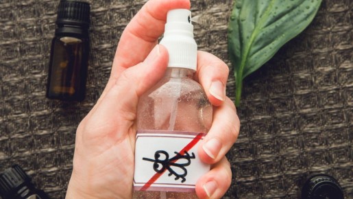 Забудьте о покупной «химии»: комаров отпугнет этот природный репеллент