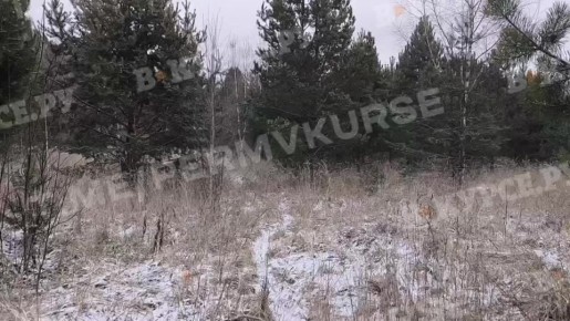 Снегопады пришли в Пермь. Вот такая лесная красота в 15 км от города