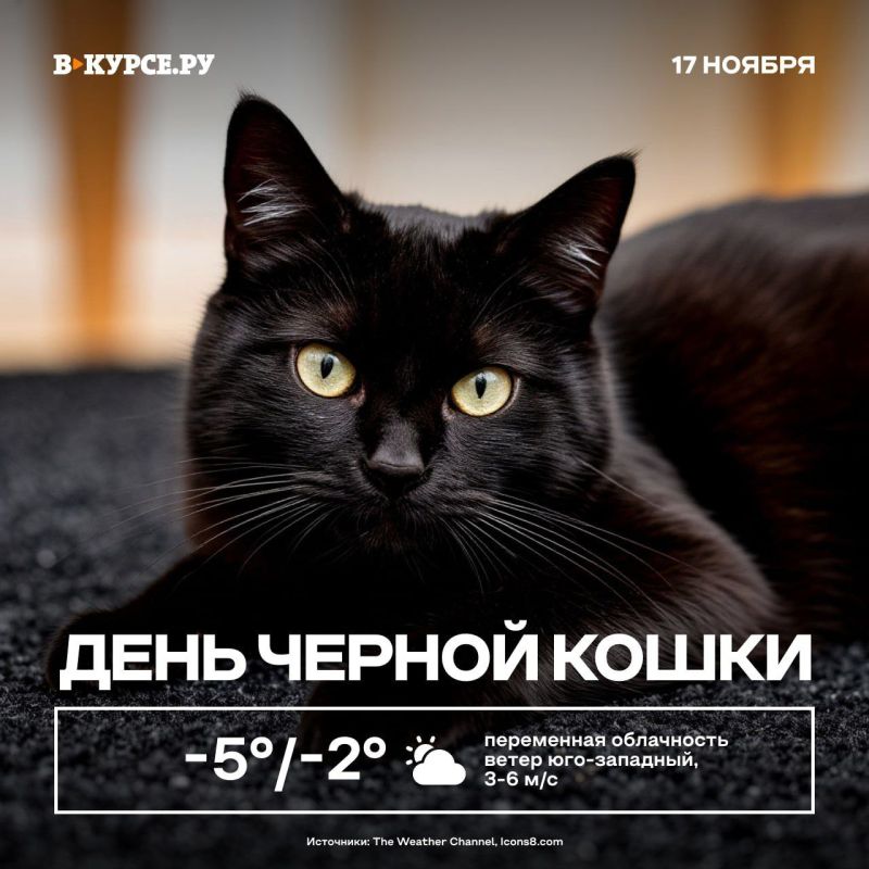 Доброе утро! Сегодня днём ожидается -2 градуса