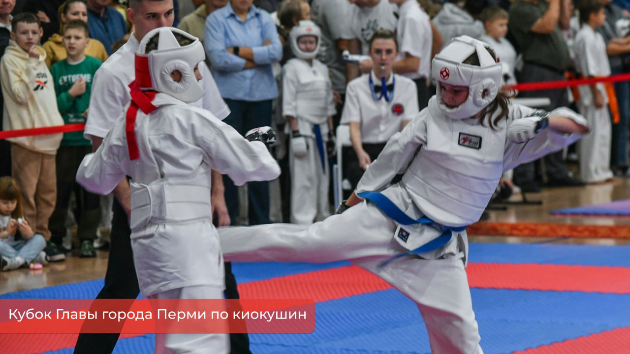 Эдуард Соснин: В эти выходные прошел Кубок Главы города по киокушин — один из семи новых соревнований, учреждённых в этом году Эдуард Соснин: В эти выходные прошел Кубок Главы города по киокушин — один из семи новых соревнований, учреждённых в этом году