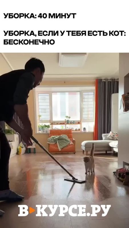 Вечернее веселое на «В курсе.ру»