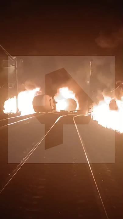  -          ,   Telegram- 