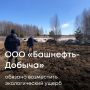 Суд поддержал требования Росприроднадзора и обязал ООО «Башнефть-Добыча» выплатить более 3,6 млн рублей за загрязнение почв в Республике Башкортостан