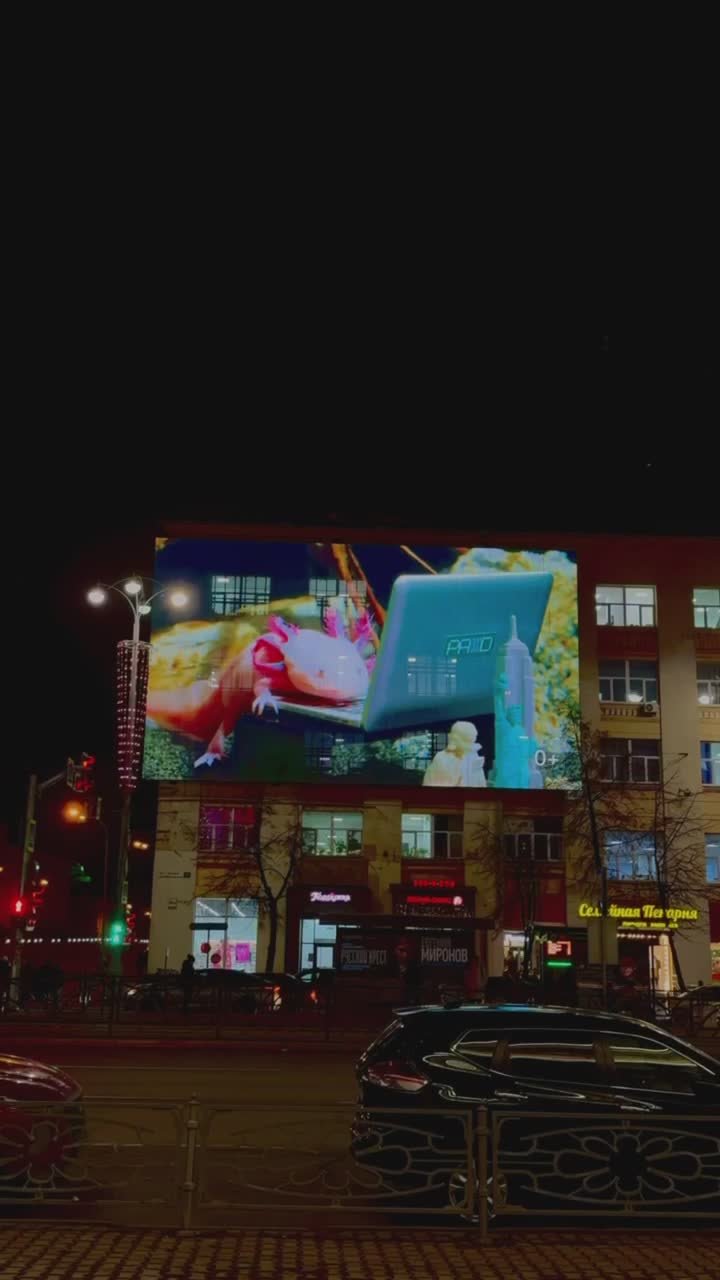 Подписчики из разных городов России присылают видео с милахой-аксолотлем, которого транслируют на экраны по всей стране