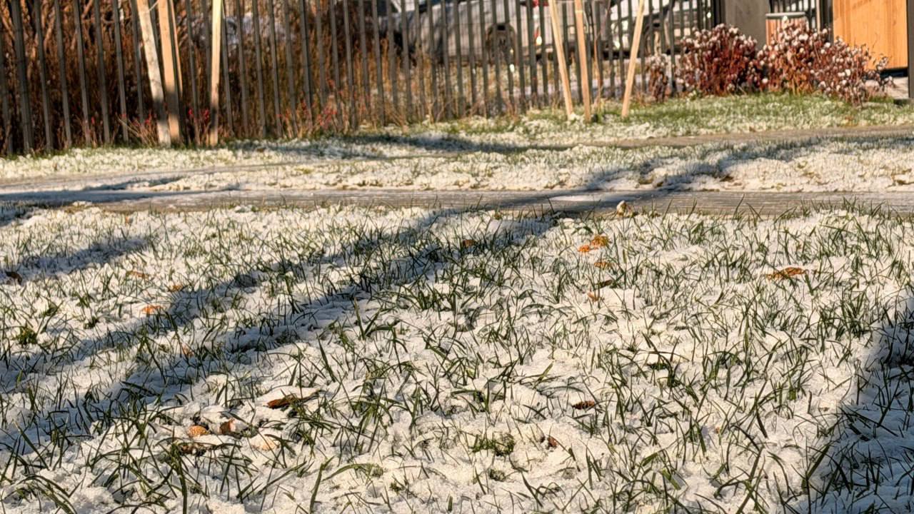 На неделе ожидается теплая погода со снегом в Прикамье