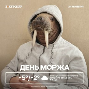  !.    ,   -2 ,  -, 2-4   