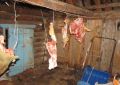 В Куеде полицейскими возбуждено уголовное дело о краже мяса
