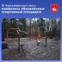 В Черняевском лесу появились обновленные спортивные площадки