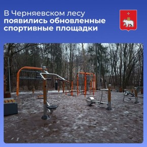В Черняевском лесу появились обновленные спортивные площадки