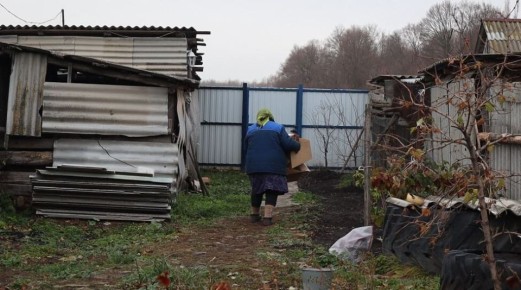 Удивительные зимние посадки: что выбрать, кроме чеснока?