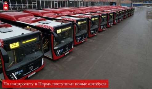 ЦИФРА ДНЯ - 59. Столько новых автобусов поступило в столицу Прикамья