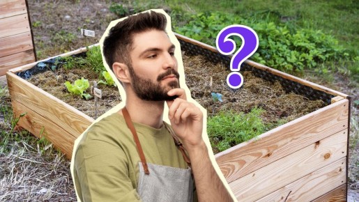 Вот что делают с прошлогодней мульчей умные дачники: растения скажут спасибо