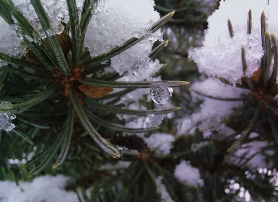 Аномально теплая погода с небольшими осадками ожидается в Перми