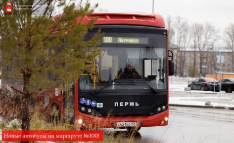 Ой, а кто это у нас там прячется за деревьями? А это новый красавчик на маршруте №