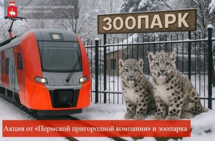А вы уже видели детенышей снежных барсов, которые родились в прошлом году в пермском зоопарке? А на электричке давно ездили?