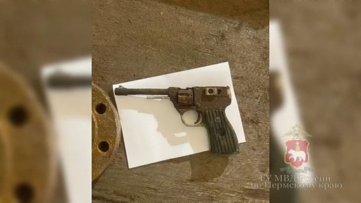 Наркополицейские Прикамья изъяли более двух килограммов марихуаны у жителя Краснокамска