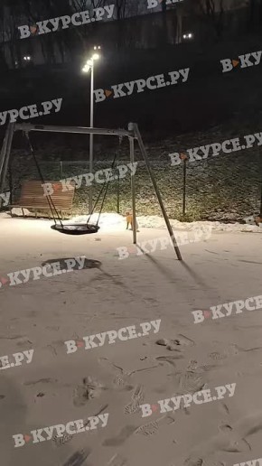 Лиса гуляла по набережной вчера вечером