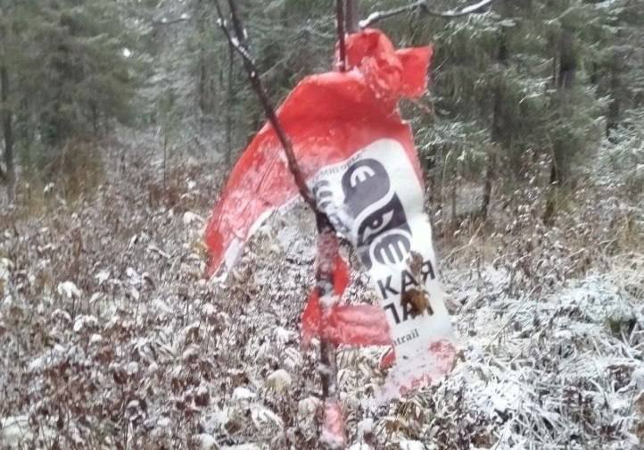 Медведь разорвал опознавательный знак на «Пермской тропе»