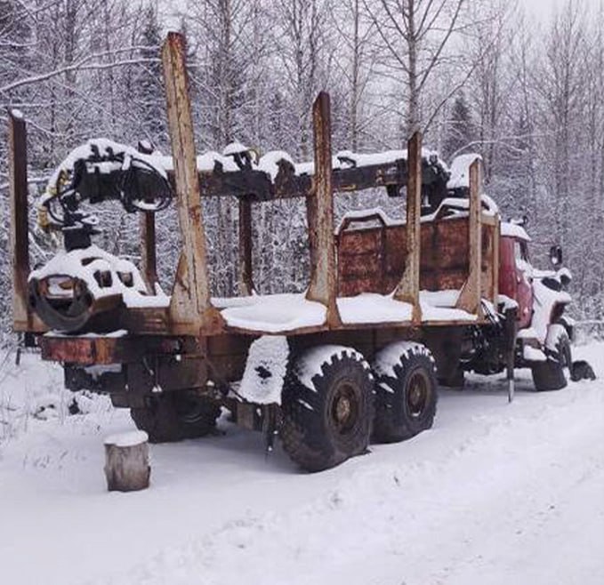 Работник пилорамы предстанет перед судом в Пермском крае за незаконную рубку деревьев на 4 млн рублей