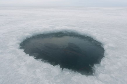 Два человека провалились под тонкий лед и погибли