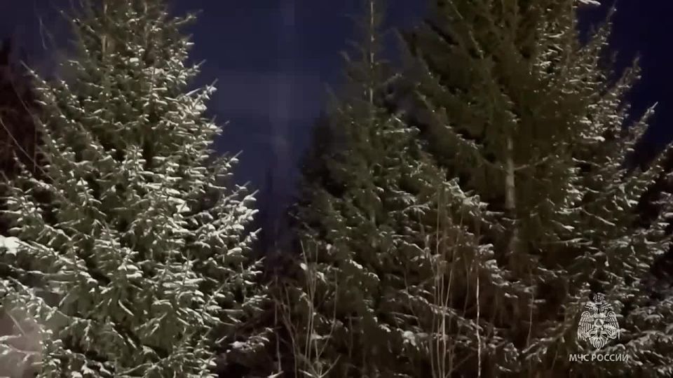 � �������� ���� ������������ ������ ��������