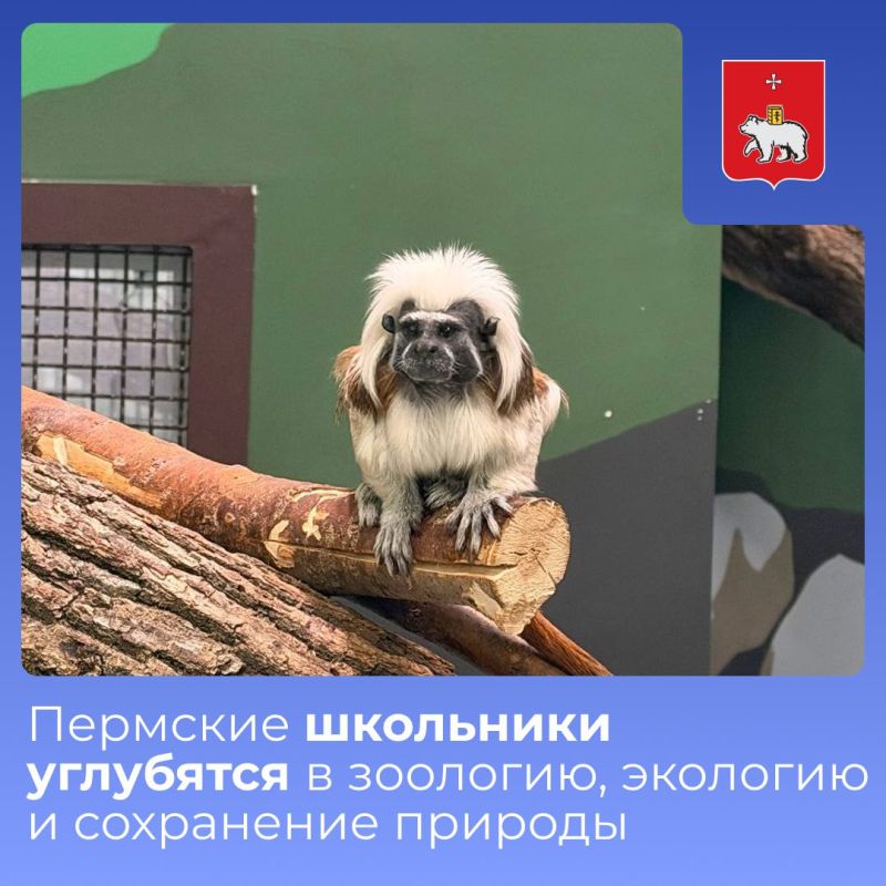 �������� ������� � ����������� ����������� ��������� ���������� � ��������������