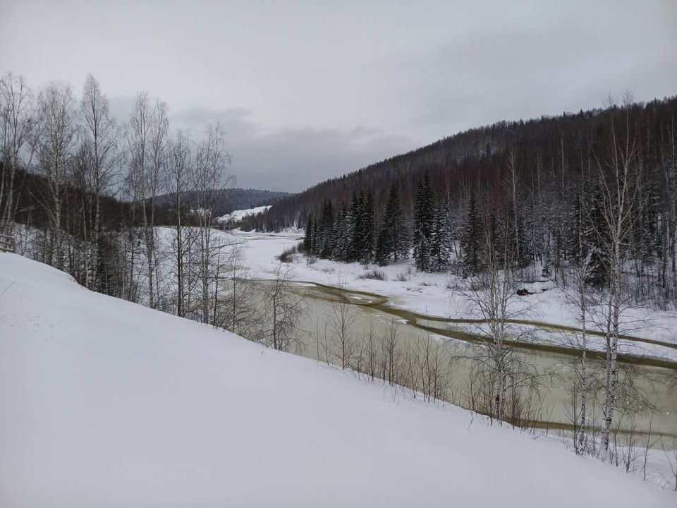 �� -35 �������� ��������� ����������� �� ���� ������ � ��������