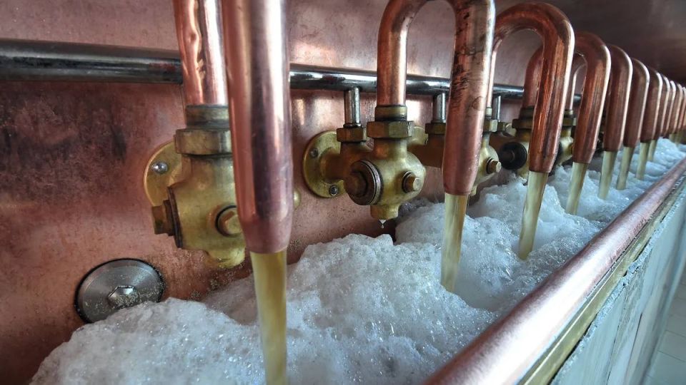 ���������� �������� ����������� ������������ ������������� ���� �����