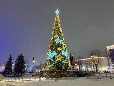 Почти месячная норма снега выпала в Перми