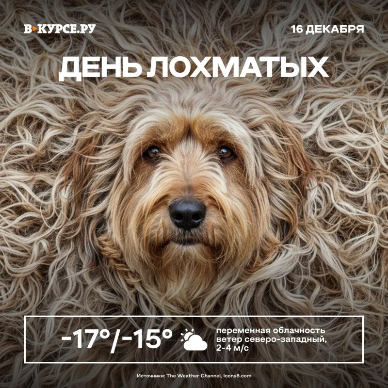 ������ ����! � ������� ��������� ��