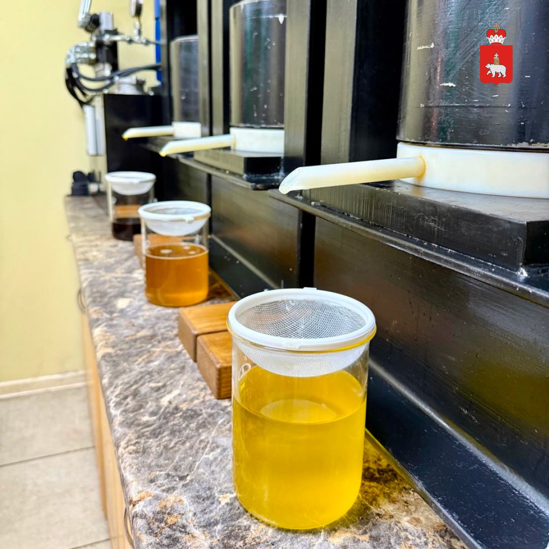 Пермская компания развивает производство натуральных масел благодаря поддержке региона Пермская компания развивает производство натуральных масел благодаря поддержке региона