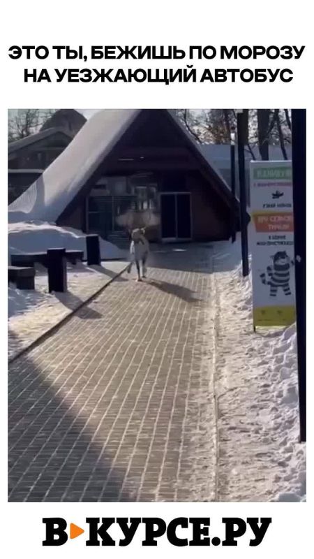 �������� �������� �� �� �����.��