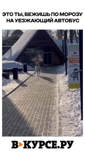 Вечернее морозное на «В курсе.ру»