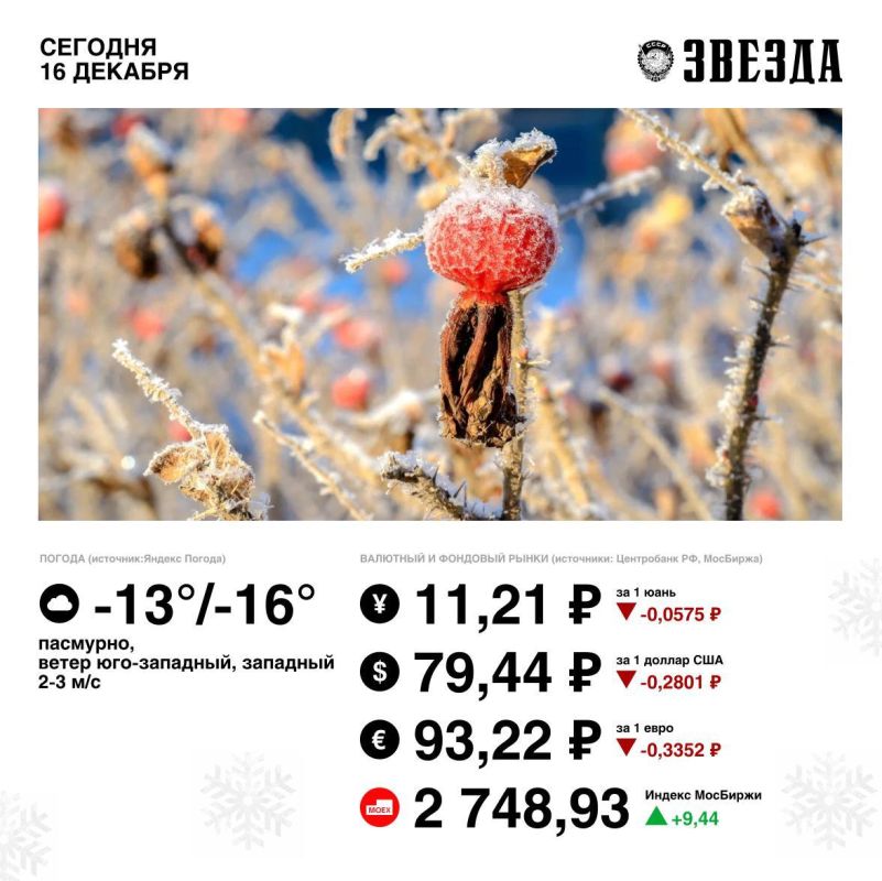 ������ ����, �����!. ������� ����� ��������� � ��������, ������ ������� �� ���������