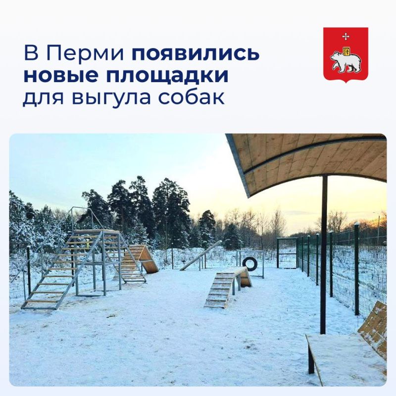 � ����� ��������� ����� �������� ��� ������ �����