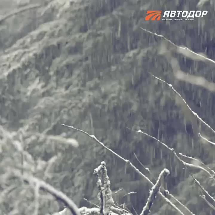 ��������� ��������! ��������� ��������� �������� �������