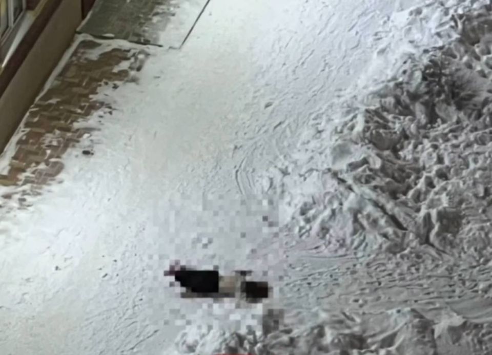 �� ����� ������������ ������� ����� �� ���� ������ �������