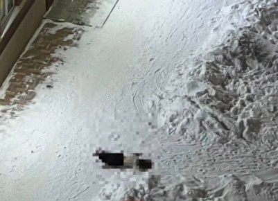 На улице Черниговская сегодня ночью из окна выпала девочка