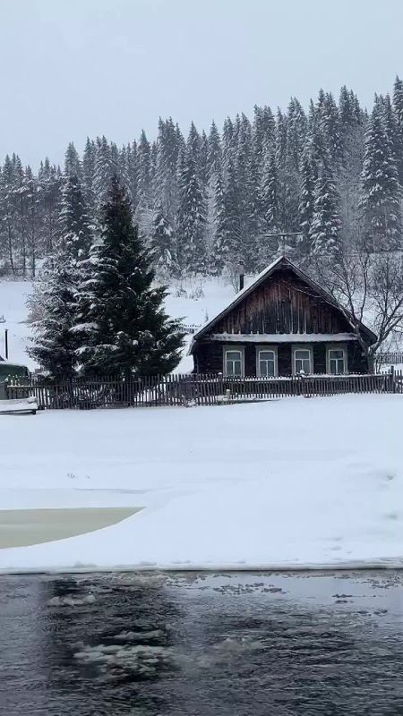 ������� �����, �������� ����, ������