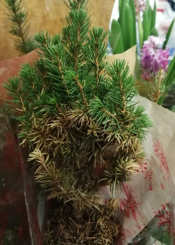 ��� ������ ���������� ����: ������� ����� � ��������� ����� ����������