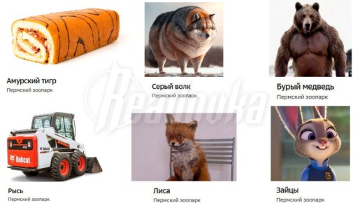 � �������� �������� �� ��������� ����� ������� �����, ���� ������ �� �������� �����, � ������� � ���� ����������