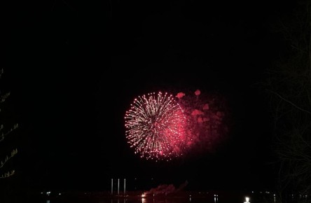 �������� ������������ � ������� �� ������ ����������� �� ���������� ��������� �����