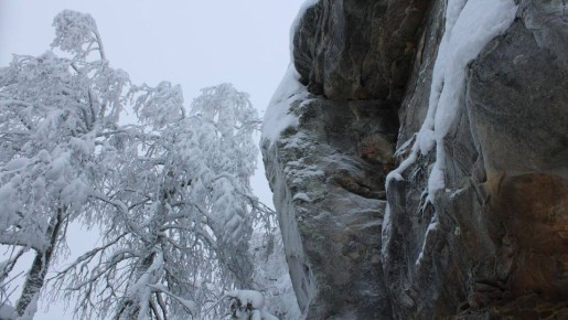 ����� ������� �������� �� ��������� ����� ����������� � ��������