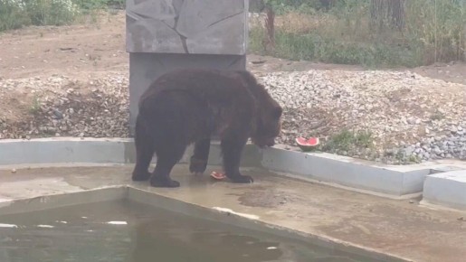 ������� ������� � �������� ���� ���������������� �������� � ��������, �������� ������� ����� � �������� ��������