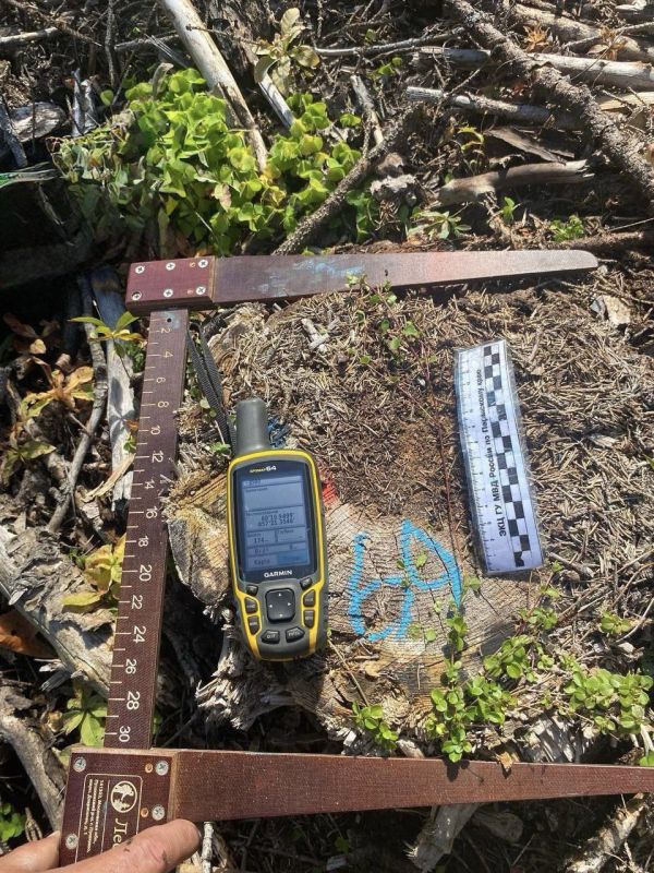 �� ���������� ������������ �������� ���������� ��������� ���� �� ����� ���������� ����� �� ���������� ����������� ����������� �����������